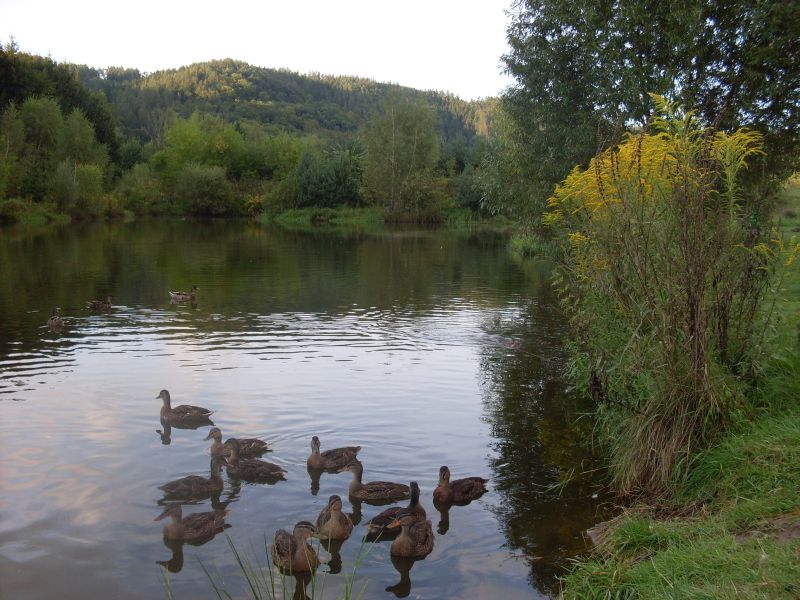 sazava 009.jpg